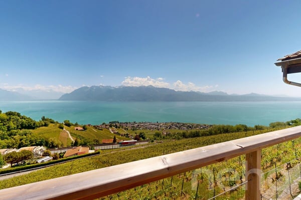 L'élégance d'un chalet entre lac, vignes et montagnes 9