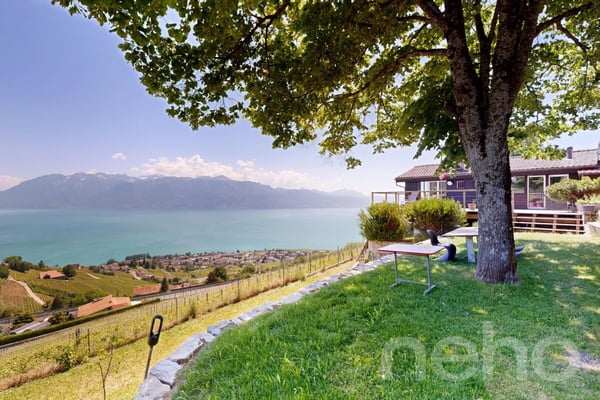 L'élégance d'un chalet entre lac, vignes et montagnes 3
