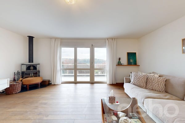Einfamilienhaus mit Panoramaaussicht und Gartenparadies in Ebikon 4