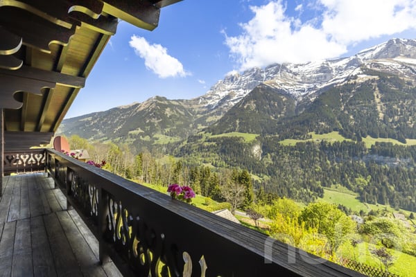 Exclusif: Grand chalet avec 2 garages sur un terrain de 3255 m2 8