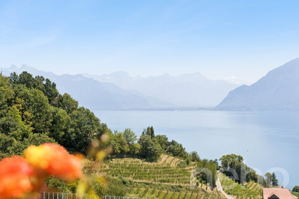 Entre Lac et vignes : une propriété rare à Grandvaux 11