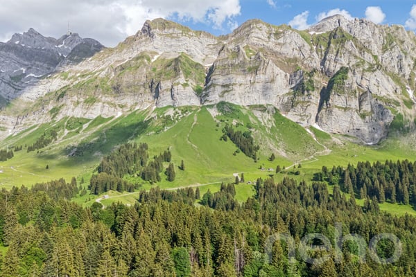 6.5-Zimmer-Einfamilienhaus in naturnaher Lage am Fusse des Säntis 9