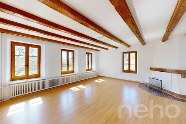 Duplex au charme authentique avec jardin privatif à 20min de Lausanne 5