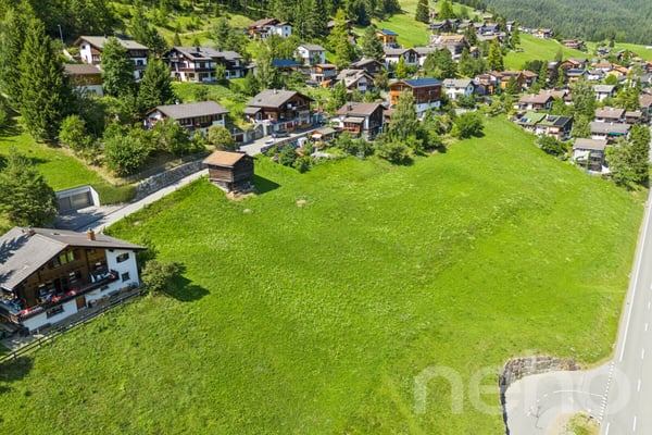 Grosszügiges Grundstück mit Baulandanteil in Davos Wiesen 3