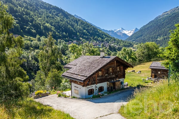Chalet authentique + dépendance de charme 2
