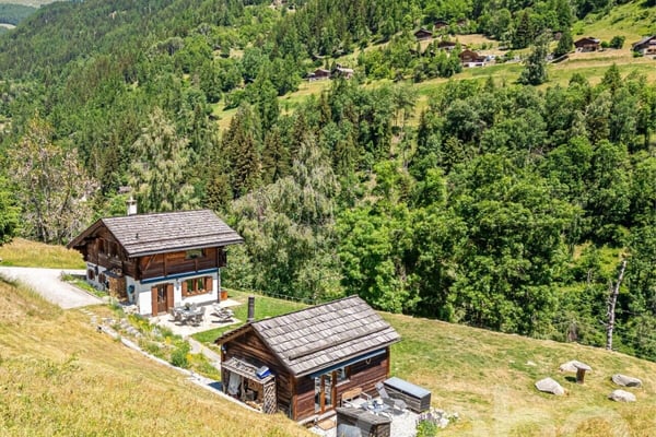 Chalet authentique + dépendance de charme 3