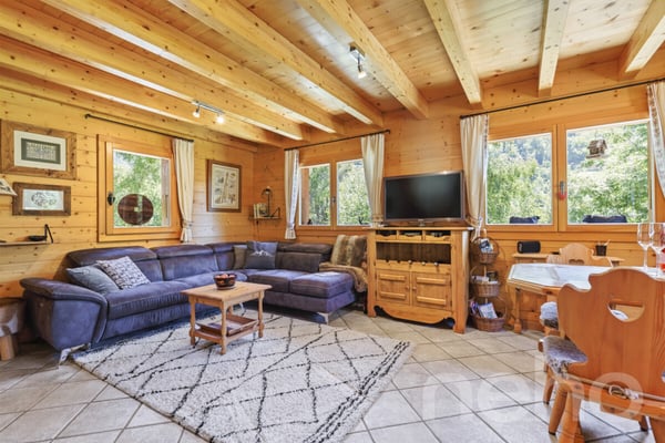 Chalet authentique + dépendance de charme 9