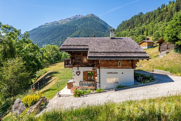 Chalet authentique + dépendance de charme 4