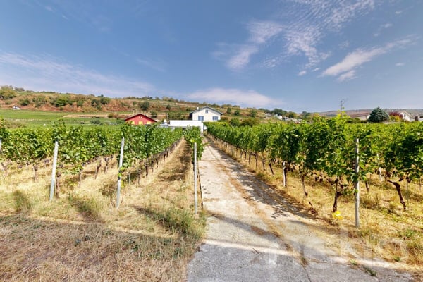 Maison 5.5p au Landeron avec vignes et fort potentiel 5