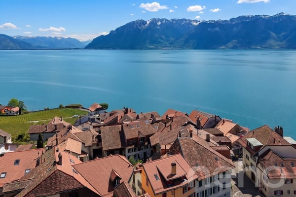 Maison vigneronne du XVII? rénovée ? Vue lac & Alpes au c?ur de Rivaz 2