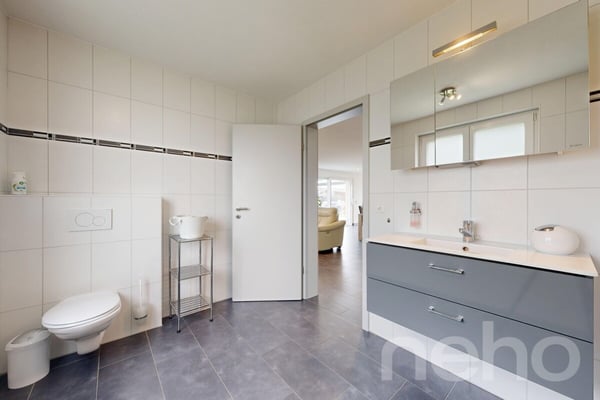 Magnifique maison familiale de 215 m² dans un cadre verdoyant à Bonfol 12