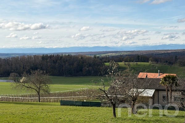 Erschlossenes Grundstück mit wunderbarer, unverbaubarer Aussicht 8