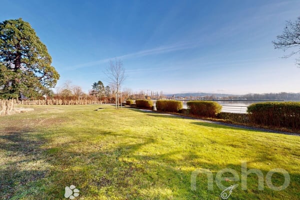 Reihenhaus am Bielersee - renoviert mit Seesicht und Gartenwiese 3