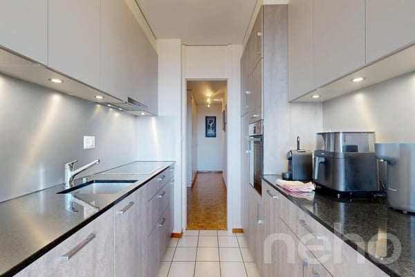 Libre de suite : Bel appartement avec sa vue sur le lac ! 5