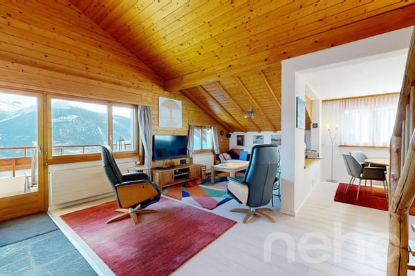 Bel appartement au dernier étage avec mezzanine 3