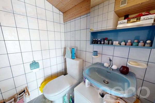 Wohnung mit offenem Raumkonzept, Wintergarten und besonderem Charakter 12