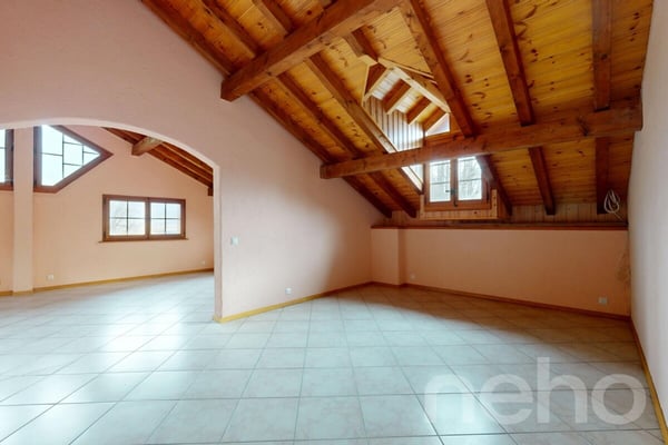 Immeuble locatif et 3 surfaces activités/stockage 12