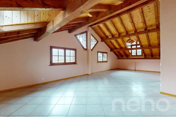 Immeuble locatif et 3 surfaces activités/stockage 9