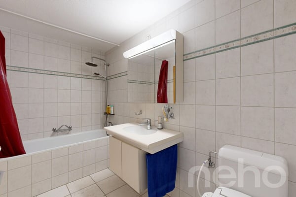 5.5-Zimmer-Reiheneckhaus mit Einliegerwohnung in St. Gallen 7