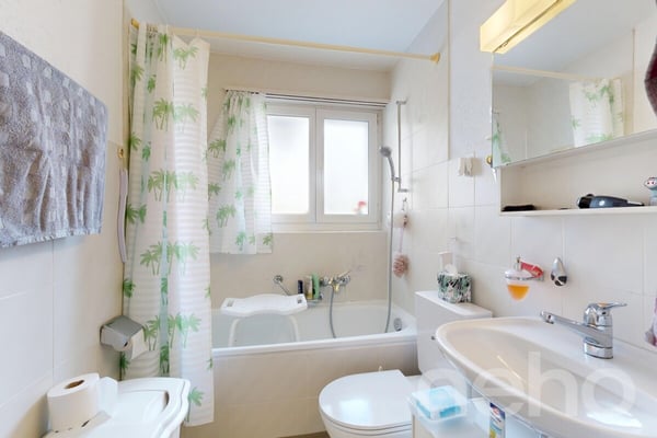 Familiendomiziel mit Dachgeschosswohnung, Werkstatt und Schopf 9