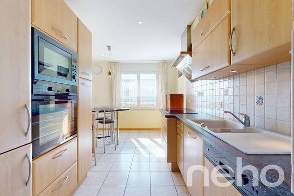 Appartement spacieux, lumineux et vue apprenable sur le lac ! 2