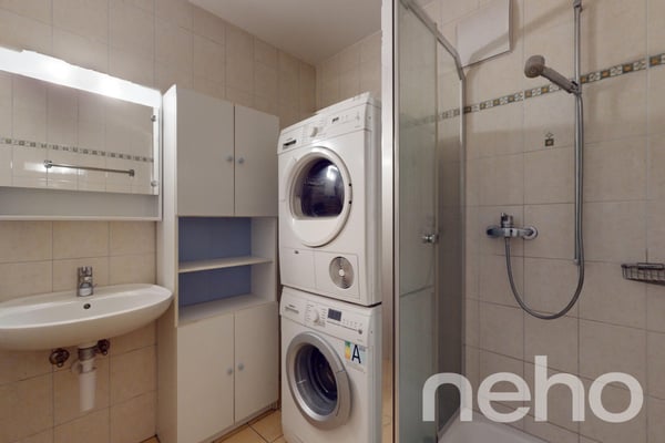 Appartement spacieux, lumineux et vue apprenable sur le lac ! 12
