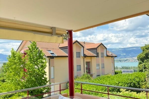 Appartement spacieux, lumineux et vue apprenable sur le lac ! 1