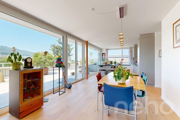 Attikawohnung mit traumhafter Terrasse und unverbaubarer Weitsicht 3