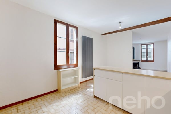 Entre Villereuse et Terrassière - Immeuble au cachet architectural 7
