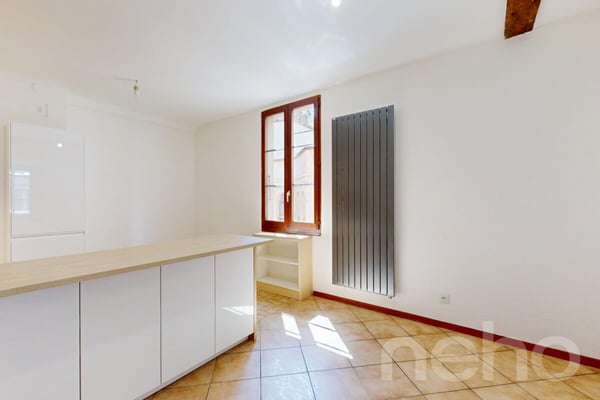 Entre Villereuse et Terrassière - Immeuble au cachet architectural 5