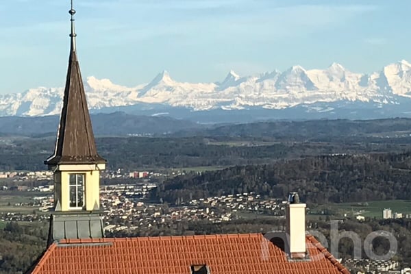 Grosszügige Attikawohnung mit Blick auf die Alpen 11