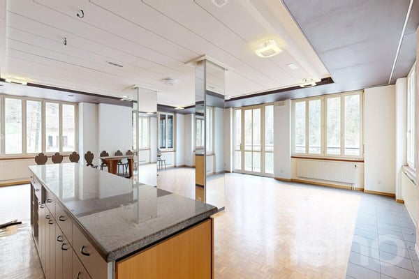 OPPORTUNITÉ RARE : RÉVEILLEZ LA LÉGENDE DE LA MAISON MONSIEUR 3