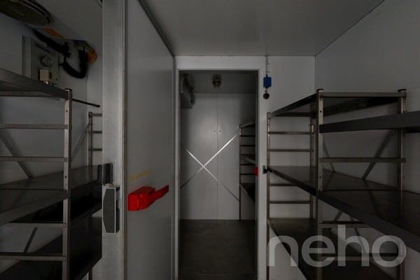 OPPORTUNITÉ RARE : RÉVEILLEZ LA LÉGENDE DE LA MAISON MONSIEUR 11