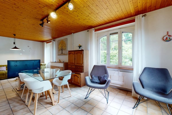 Beaucoup de cachet! Pour des investisseurs ou bien une grande famille 8
