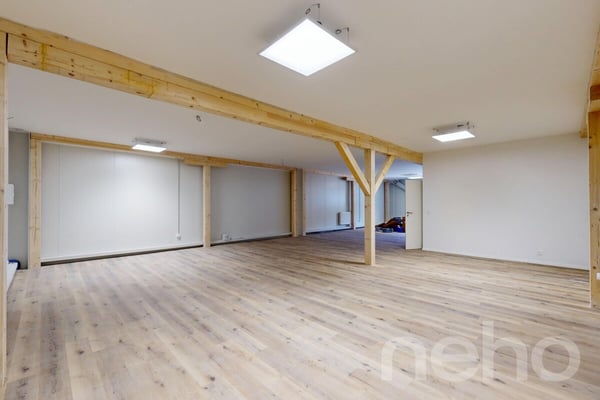 Immeuble de rendement avec 3 locaux commerciaux à Monthey 8