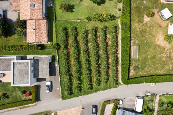 Magnifique parcelle constructible de 782 m² à Fully ? Beau potentiel 2