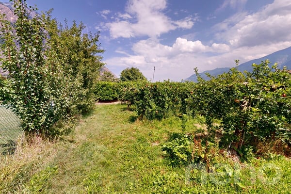 Magnifique parcelle constructible de 782 m² à Fully ? Beau potentiel 12