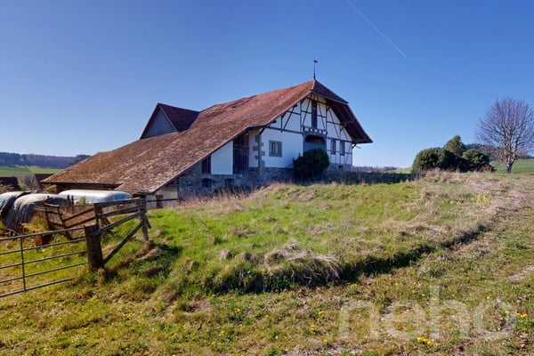Magnifique ferme historique à transformer fort potentiel 5