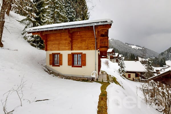 Exclusif : Chalet de 4 chambres avec garage 2