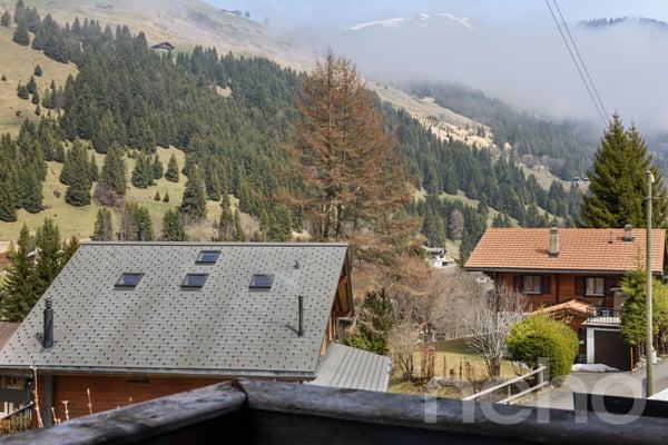 Exclusif : Superbe chalet de 5 chambres rénové récemment 9
