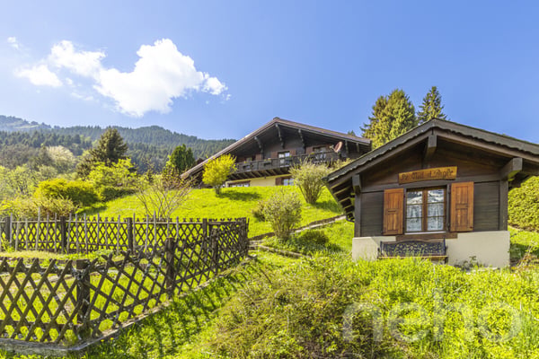 Exclusif: Grand chalet de trois chambres avec 2 garages 9