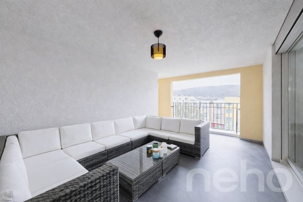 Grosse 5.5-Zimmer Wohnung mit unverbaubarer Aussicht in Schlieren 4
