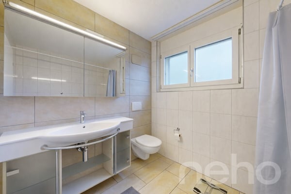 Grosse 5.5-Zimmer Wohnung mit unverbaubarer Aussicht in Schlieren 5