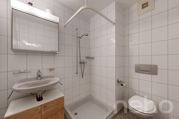 Grosszügige 3.5-Zimmer-Wohnung mit sonniger Terrasse 5