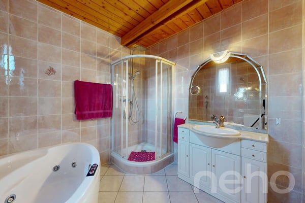 Villa familiale avec jardin arboré et jacuzzi à Founex 7