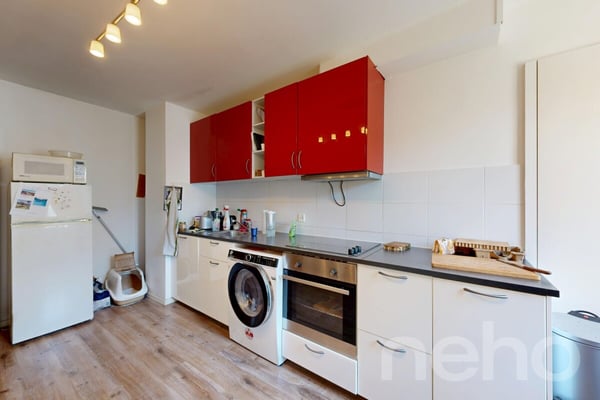 Appartement 1.5 pièces ? 70 m², exposition sud, à 10 min de Lausanne 10