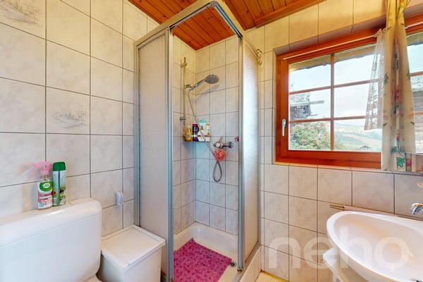 Magnifque Chalet à Unterbäch (VS) 9
