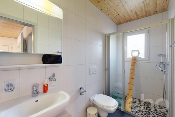 Charmante maison familiale de 5,5 pièces avec jardin 7
