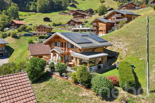 Chalet de charme + loft indépendant - vue sur les Dents du Midi