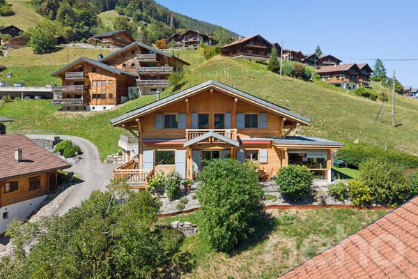 Chalet de charme + loft indépendant - vue sur les Dents du Midi 2